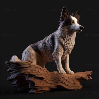 3D model Border Collie dog (STL)